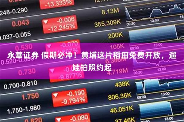 永華证券 假期必冲！黄埔这片稻田免费开放，遛娃拍照约起