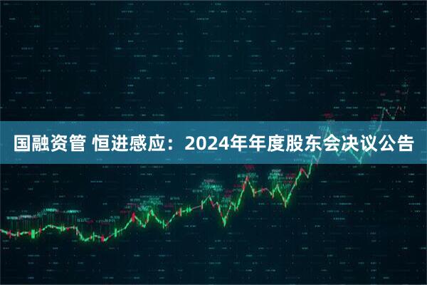 国融资管 恒进感应：2024年年度股东会决议公告