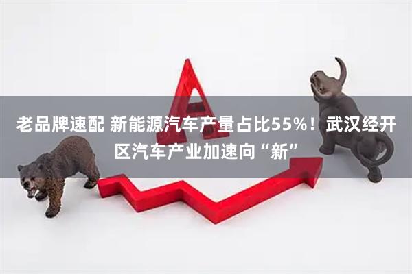 老品牌速配 新能源汽车产量占比55%！武汉经开区汽车产业加速向“新”