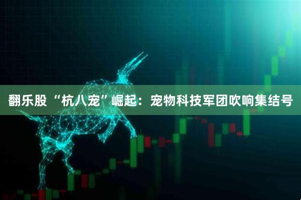翻乐股 “杭八宠”崛起：宠物科技军团吹响集结号