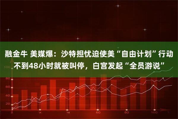 融金牛 美媒爆：沙特担忧迫使美“自由计划”行动不到48小时就被叫停，白宫发起“全员游说”